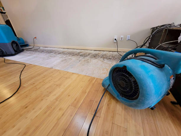 Professional Sewage Cleanup technician working in Wiggins, CO